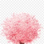 粉色樱花树粉色樱花 高清PNG