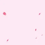 粉色背景 PNG素材下载