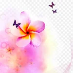 粉色化妆品海报背景素材 免费PNG素材