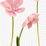 粉色漂亮花枝 PNG素材下载