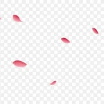 粉色花瓣 透明背景PNG