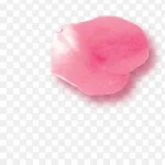 花瓣 粉色花瓣 装饰 免费PNG素材