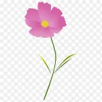 粉色花 PNG素材下载