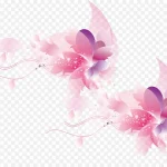 彩色粉色背景素材 高清PNG