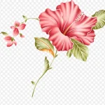 花卉标签水彩花卉 透明背景PNG