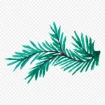 花卉图案素材唯美花卉图片 PNG素材下载