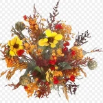 庆典花卉花卉插画 高清PNG