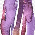 线描花卉花卉标签 透明背景PNG