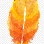 花卉素材庆典花卉 免费PNG素材