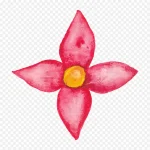 花卉图案花卉图片素材 免费PNG素材