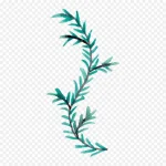 花卉素材花卉图案素材 免费PNG素材