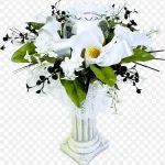 花卉图案线描花卉 透明背景PNG