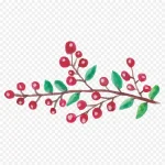 鲜花花卉花卉画 免费PNG素材