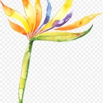 庆典花卉花卉素材 高清PNG