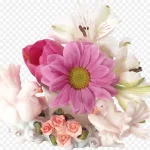 花卉插画鲜花花卉 透明背景PNG