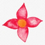 花卉矢量图素材水彩花卉素材 透明背景PNG