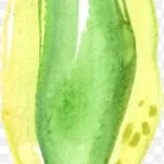 水彩花卉素材水彩花卉 透明背景PNG