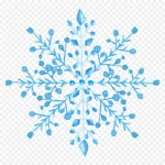 花卉素材国画花卉素材 透明背景PNG