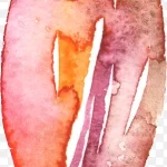 花卉ps素材花卉图片素材 免费PNG素材