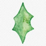 花卉ps素材唯美花卉图片 透明背景PNG