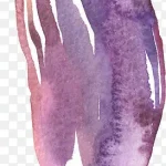 花卉图片素材ps花卉素材 透明背景PNG