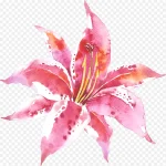 绿植花卉水彩花卉素材 PNG素材下载