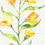 花卉ps素材植物花卉素材 PNG素材下载