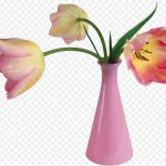 水彩花卉花卉矢量素材 PNG素材下载