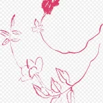 创意花卉图片花卉设计素材 免费PNG素材