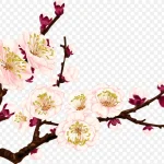 水彩花卉花卉背景素材 PNG素材下载