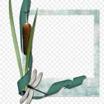 鲜花花卉花卉图片素材 透明背景PNG