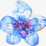 线描花卉花卉图案素材 透明背景PNG