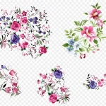 装饰花卉 透明背景PNG