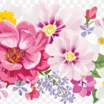 水彩素雅花卉 高清PNG