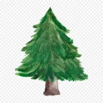 ps花卉素材水彩花卉 PNG素材下载