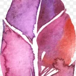 花卉图片素材鲜花花卉 透明背景PNG