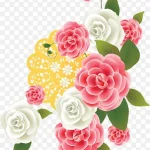 花草素材花卉素材 高清PNG