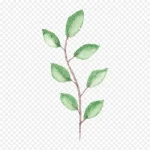 花卉图案鲜花花卉 PNG素材下载