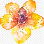 花卉图案花草素材 PNG素材下载