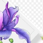 时尚女装背景 透明背景PNG