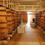 创意时尚 透明背景PNG