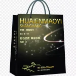 时尚奢饰品手提袋女性购物素材 PNG素材下载