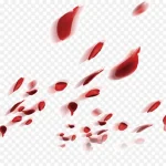 大红撒花庆祝 透明背景PNG