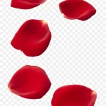 撒花庆祝装饰 免费PNG素材