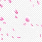 撒花粉色庆祝 高清PNG