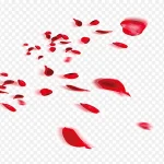 角度撒花庆祝 高清PNG