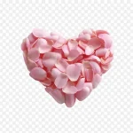 爱心撒花庆祝 高清PNG