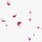 元素撒花庆祝 PNG素材下载