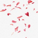 红色撒花庆祝 免费PNG素材