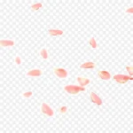 粉色撒花庆祝 透明背景PNG